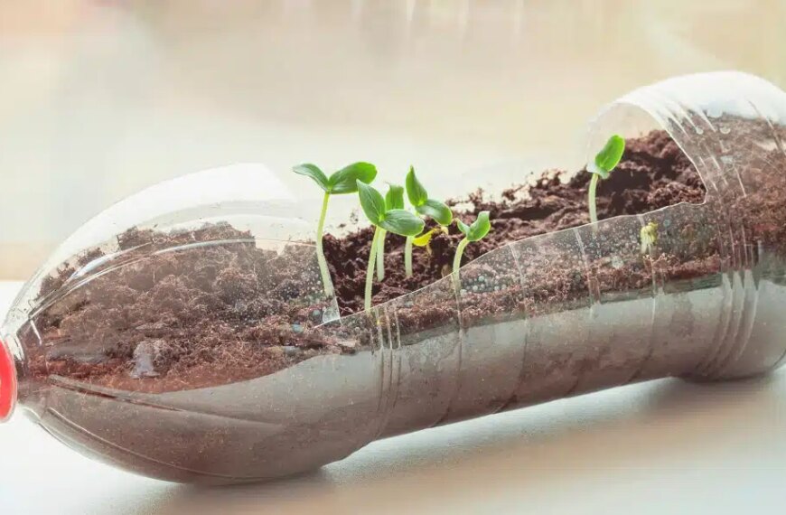 Comment transformer une bouteille en plastique pour votre jardin : 4 idées créatives à essayer immédiatement