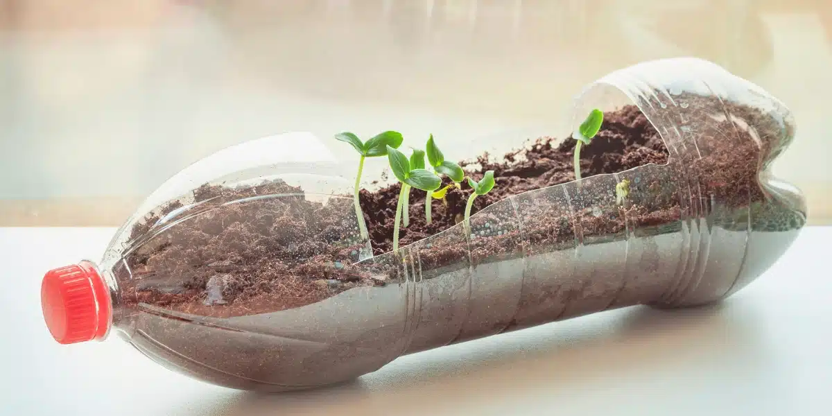 Comment transformer une bouteille en plastique pour votre jardin : 4 idées créatives à essayer immédiatement
