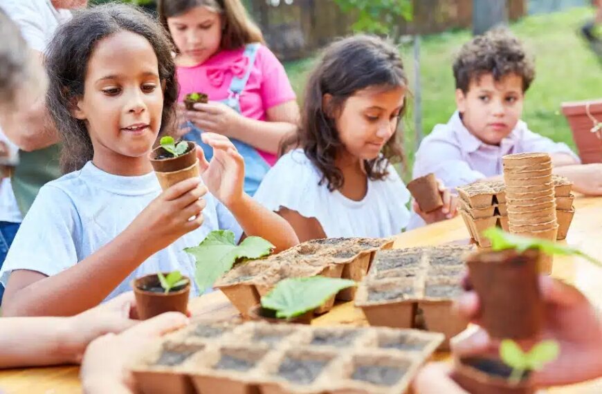 La chaleur arrive : quelles sont les plantes qui résistent le mieux aux fortes températures et à la sécheresse ?