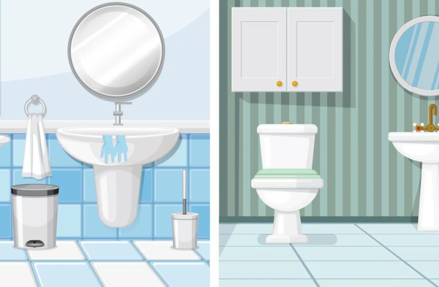 Visual challenge: can you spot the alien hidden between these two bathrooms in under 50 seconds?