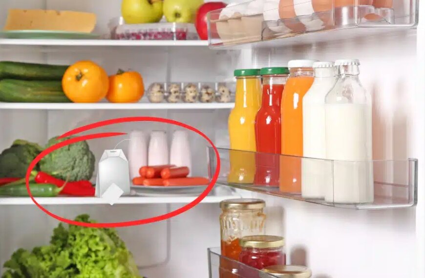Pourquoi devriez-vous mettre un sachet de thé dans votre réfrigérateur dès maintenant !