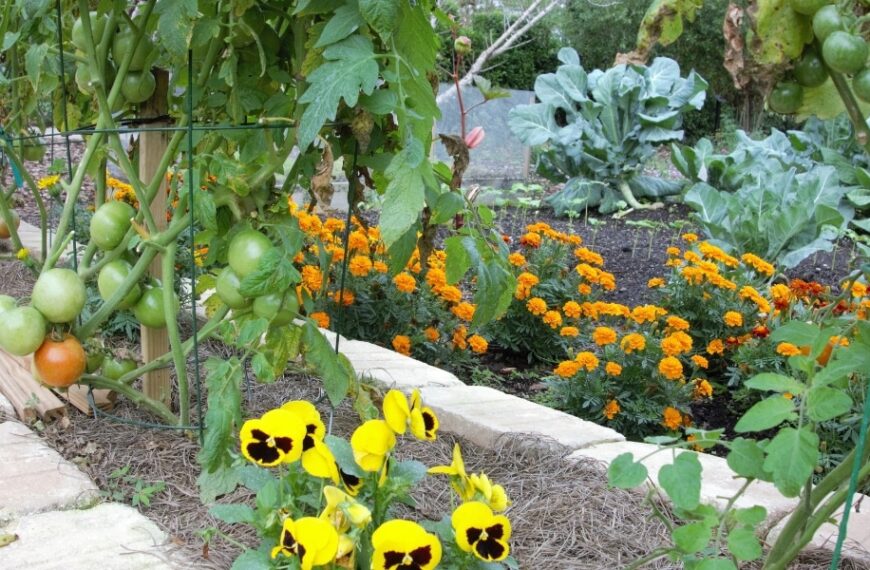 Créez un jardin de campagne sans peine : astuces incontournables pour un espace vert avec minimal entretien