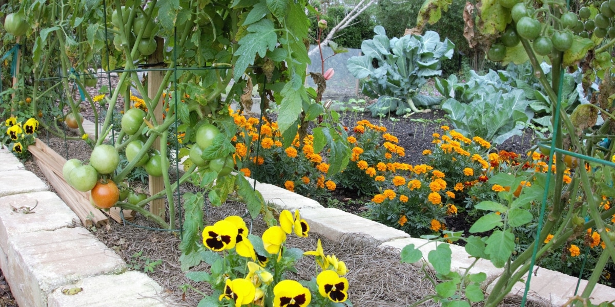 Créez un jardin de campagne sans peine : astuces incontournables pour un espace vert avec minimal entretien