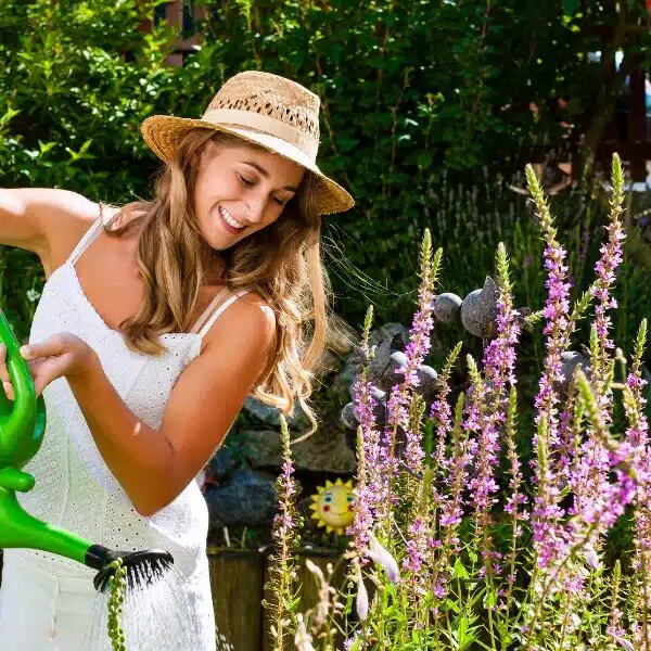 Fortes chaleurs : voici l’heure exacte à laquelle il faut arroser le jardin
