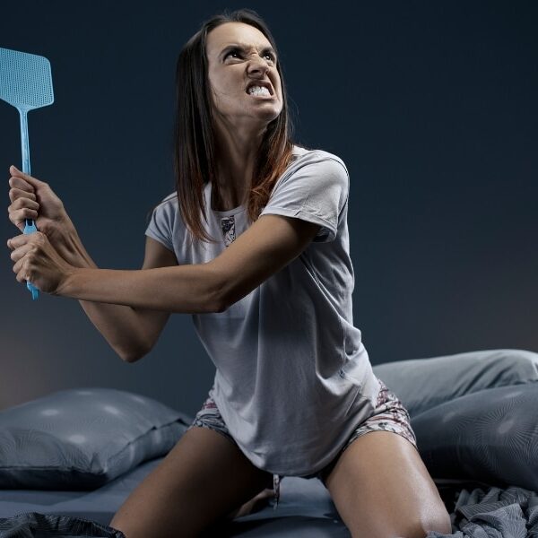 Comment empêcher les insectes d'entrer dans votre chambre la nuit avec la fenêtre ouverte ?