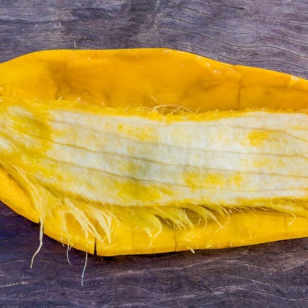 How to plant a mango seed and grow it successfully in 5 simple steps?