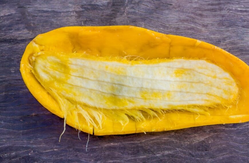 How to plant a mango seed and grow it successfully in 5 simple steps?