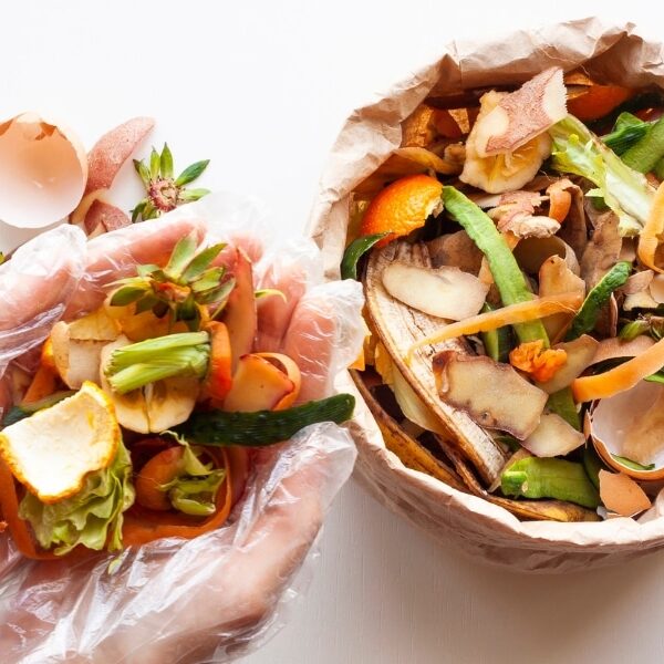 Comment votre jardin peut vous aider à économiser de l'argent et protéger la planète : astuces de recyclage organique