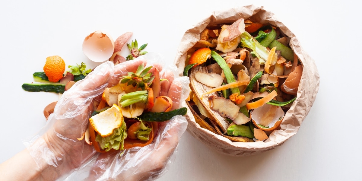 Comment votre jardin peut vous aider à économiser de l'argent et protéger la planète : astuces de recyclage organique