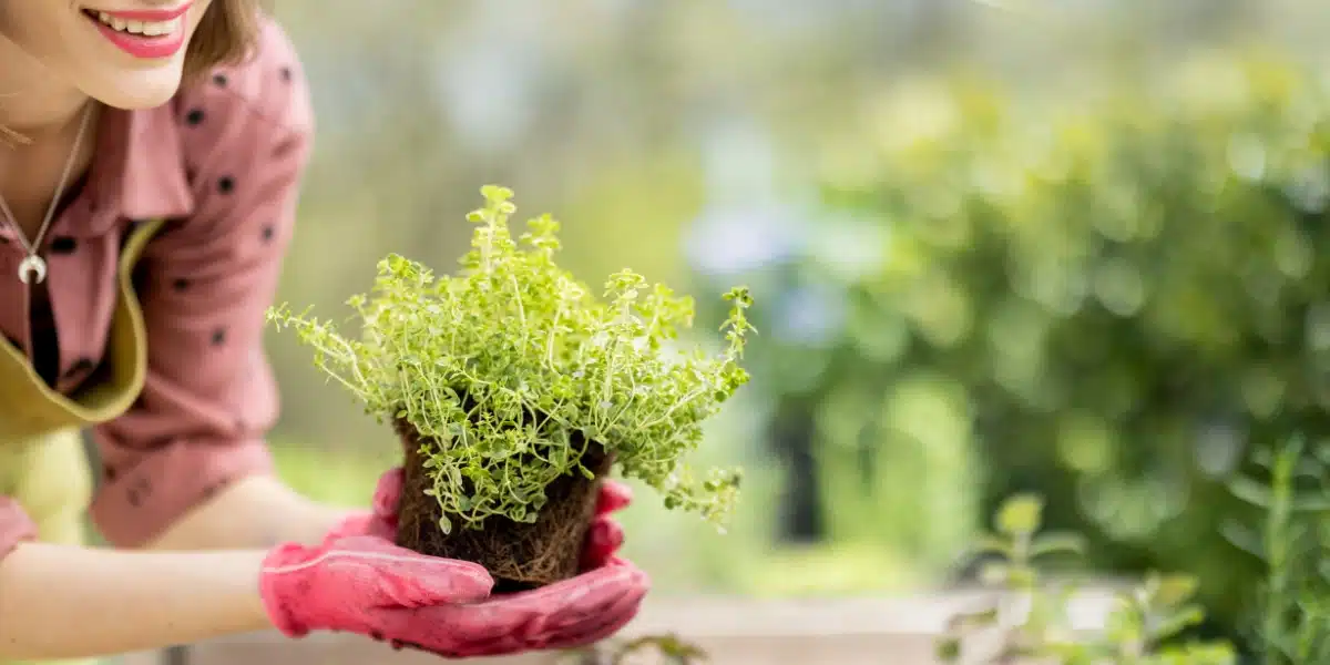 Astuces inattendues de jardinage pour optimiser chaque centimètre de votre petit coin vert