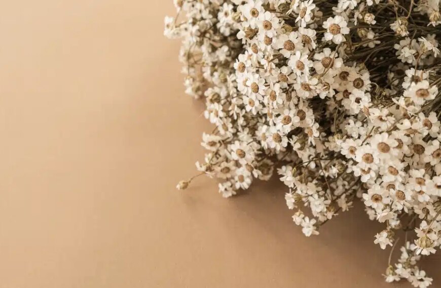 What are the best flowers to grow for dried bouquets? Varieties for beautiful arrangements