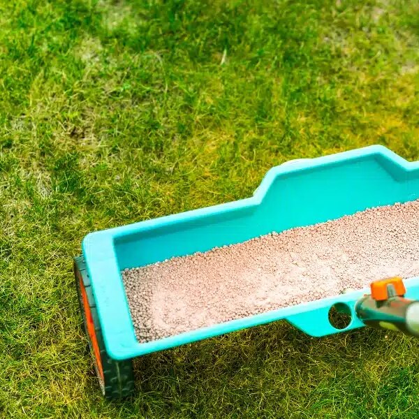 Quel engrais pour la pelouse en été ? Quand et comment l’appliquer pour un gazon bien vert dans les chaleurs ?