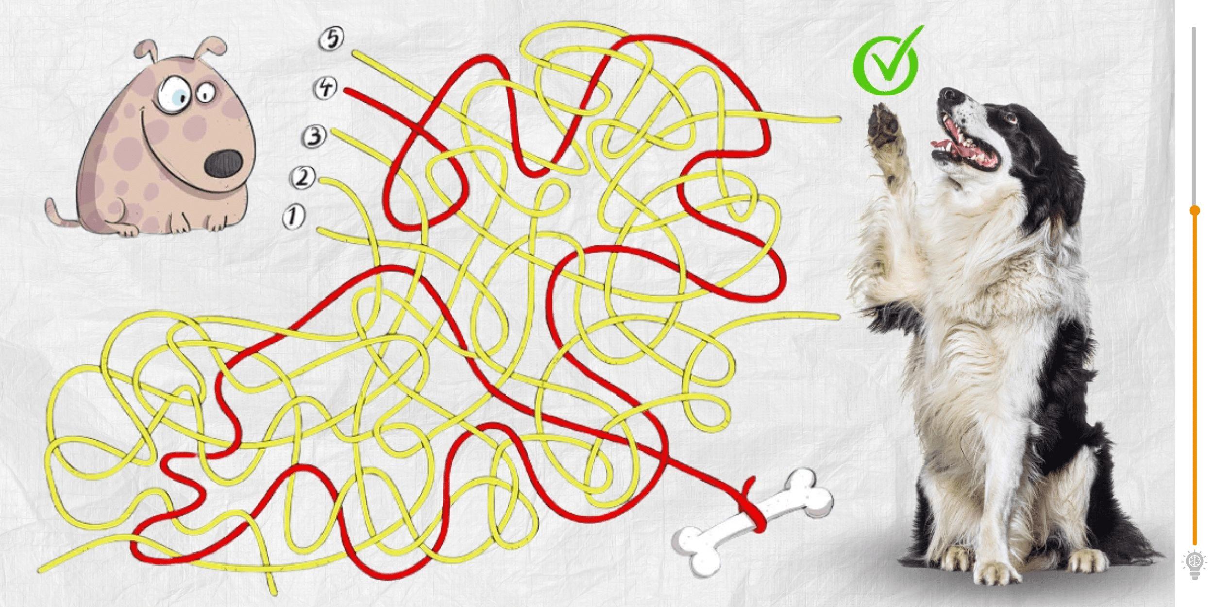 Visual challenge: are you fast enough to guide the dog to his bone in under 10 seconds?