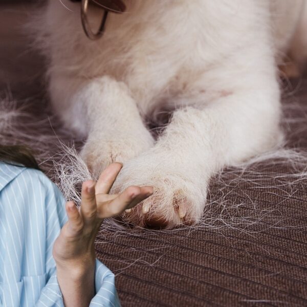 Des ennuis en perspective : 3 signes du zodiaque prêts à connaître des malheurs !