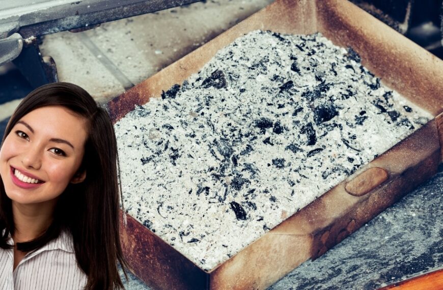 Don't throw your ashes away! Discover ingenious ways to reuse them and beautify your garden.