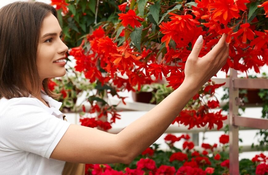 Début novembre : c'est le moment idéal pour bouturer vos bougainvilliers ! Découvrez les meilleurs gestes à respecter !
