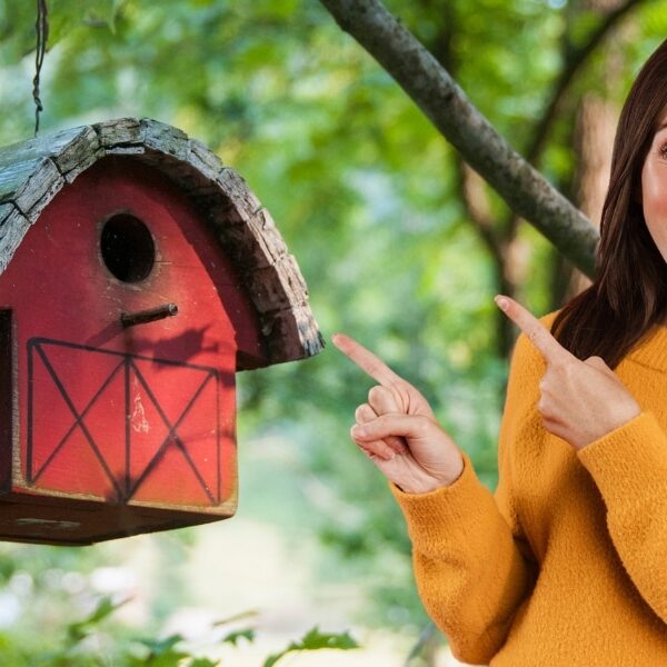Découvrez comment attirer les oiseaux uniquement à cet endroit de votre jardin: les astuces pour un emplacement de nichoir idéal