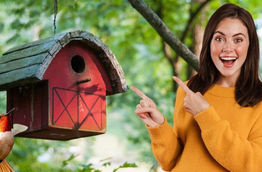 Découvrez comment attirer les oiseaux uniquement à cet endroit de votre jardin: les astuces pour un emplacement de nichoir idéal