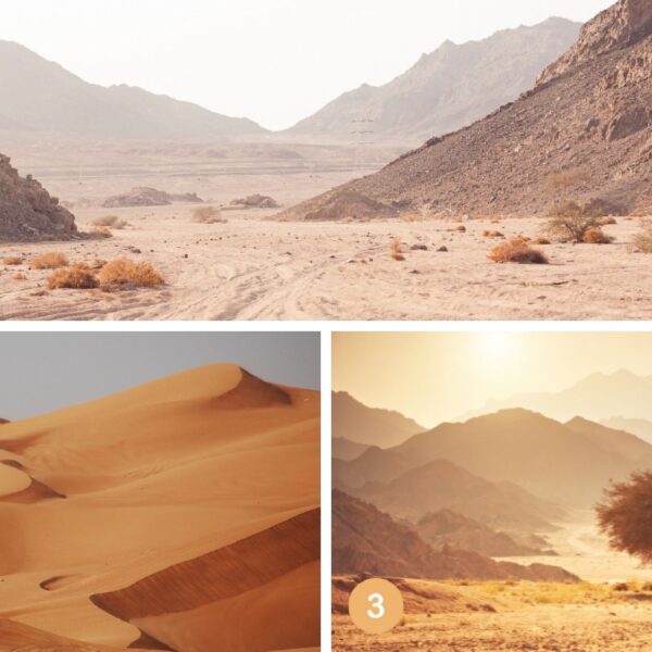 Test de personnalité : Quel désert choisissez-vous ? Découvrez votre style unique de résolution de conflits en un clin d'œil !