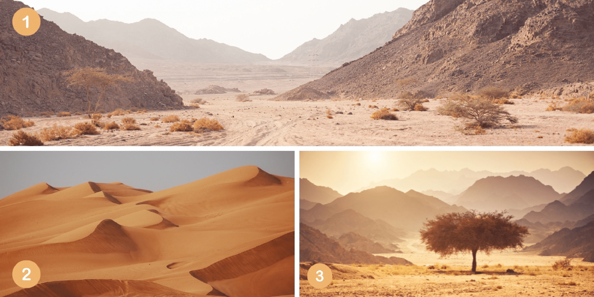 Personality test: Which desert do you choose? Discover your unique conflict resolution style at a glance!