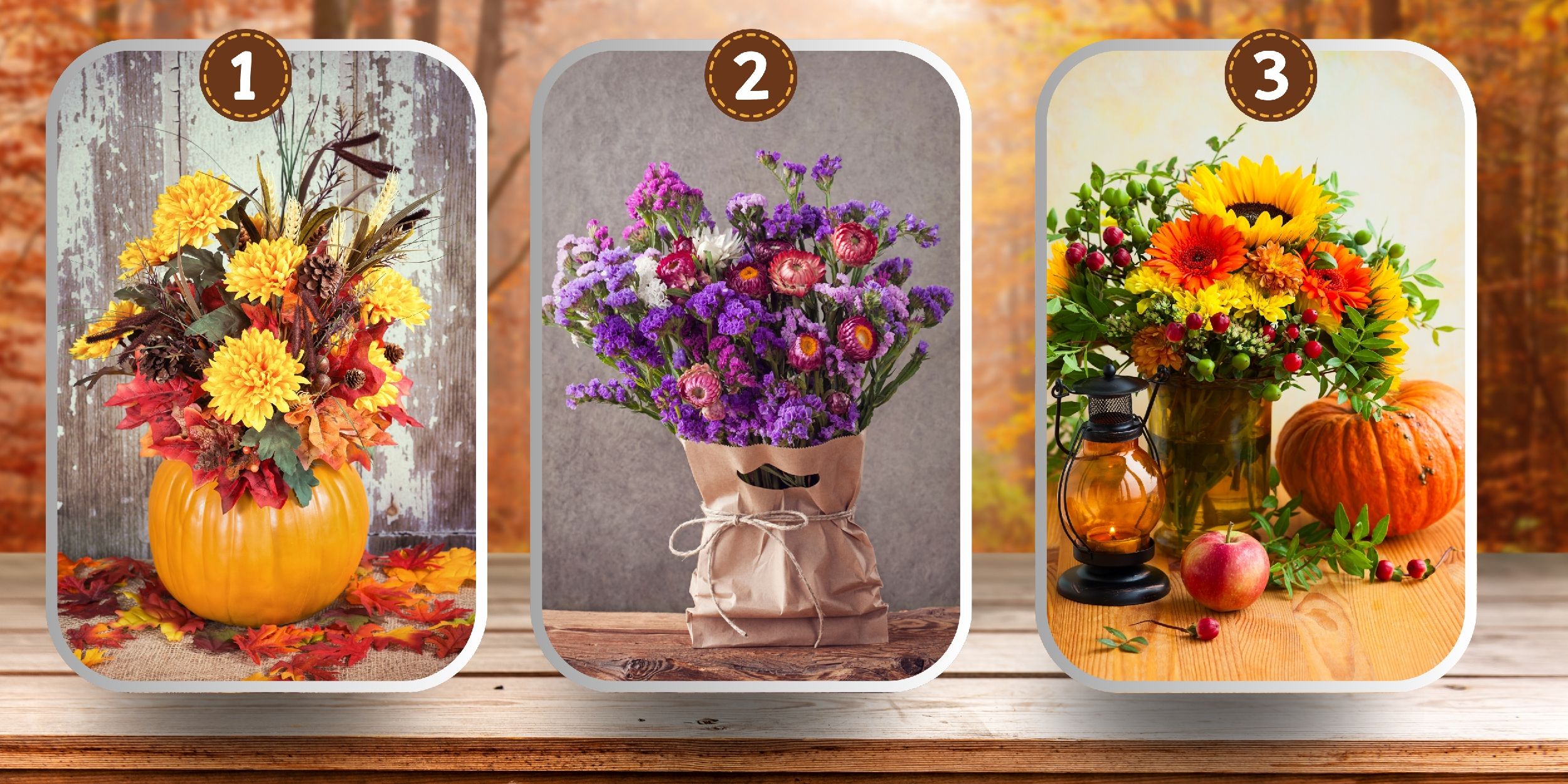 Personality test: Which of these 3 autumn flowers appeals to you? Make your choice and reveal whether your essence is that of passion or serenity!