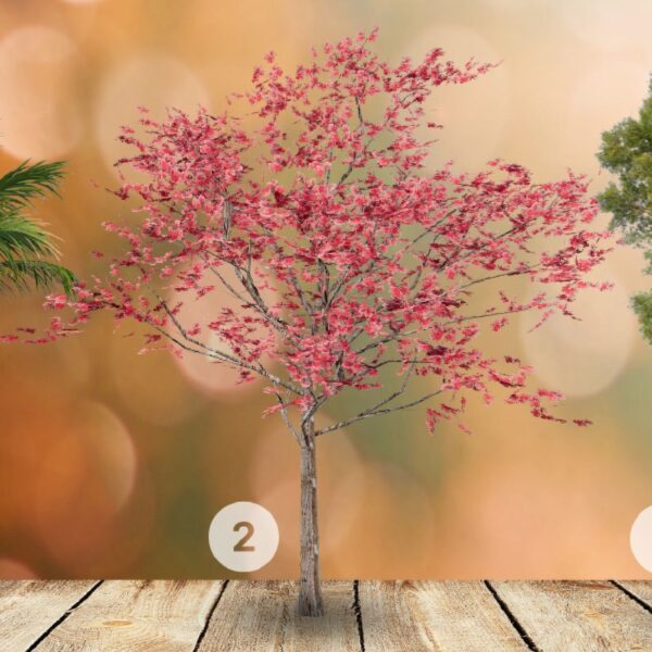 Test de personnalité :Quel arbre de ces 3 vous interpelle ? Plongez dans les racines de votre âme pour explorer si vous êtes plutôt introspectif ou extraverti !
