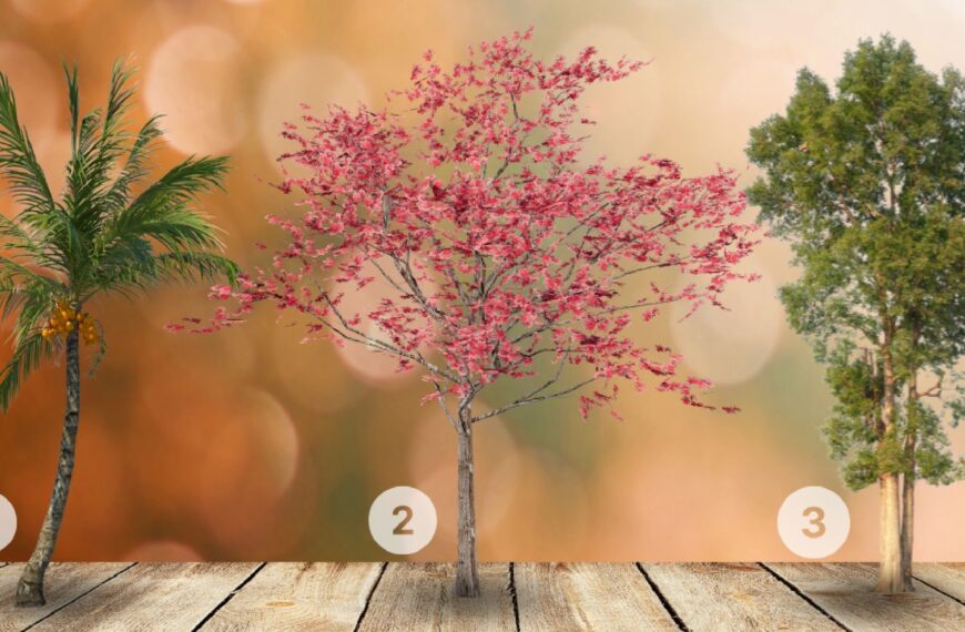 Test de personnalité :Quel arbre de ces 3 vous interpelle ? Plongez dans les racines de votre âme pour explorer si vous êtes plutôt introspectif ou extraverti !