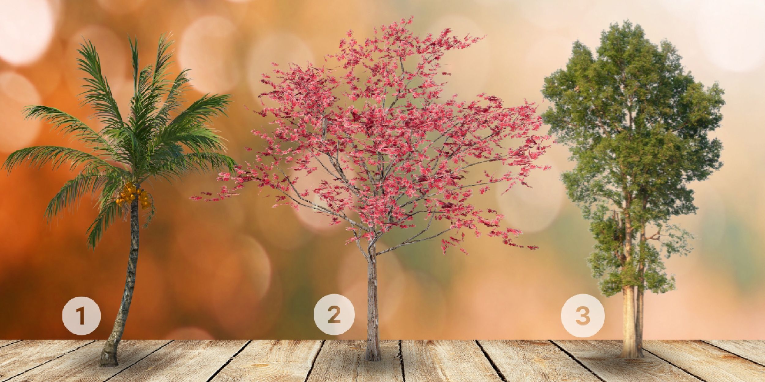 Test de personnalité :Quel arbre de ces 3 vous interpelle ? Plongez dans les racines de votre âme pour explorer si vous êtes plutôt introspectif ou extraverti !