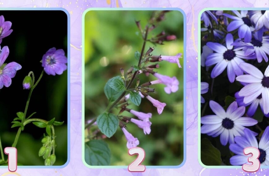 Test de personnalité : Quelle fleur violette vous représente ? Révélez votre style d'élégance unique !