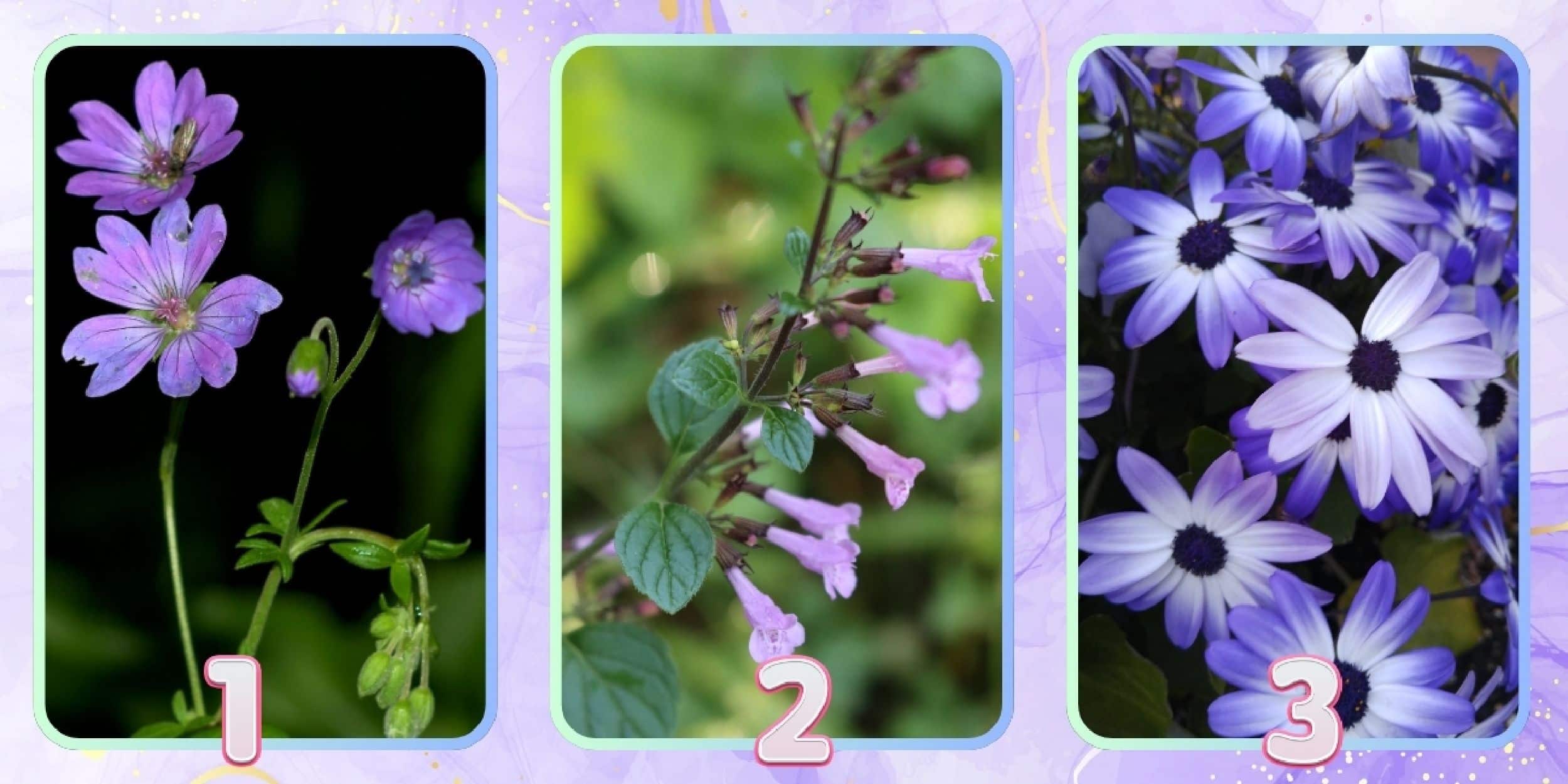 Test de personnalité : Quelle fleur violette vous représente ? Révélez votre style d'élégance unique !