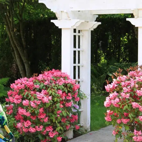 Turn your garden into a haven of peace: tips for choosing and installing the perfect arbour!
