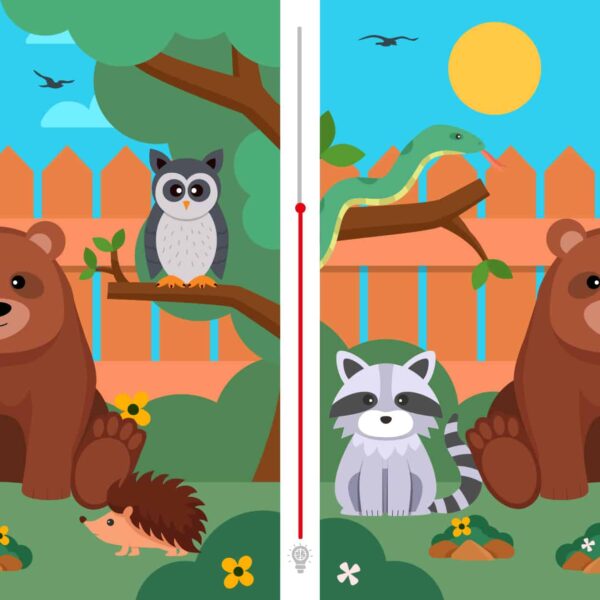 Visual challenge: Can you spot the two differences between these two images in under 8 seconds?