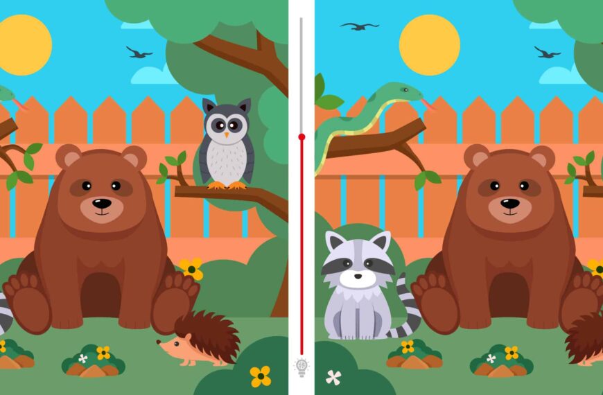 Visual challenge: Can you spot the two differences between these two images in under 8 seconds?