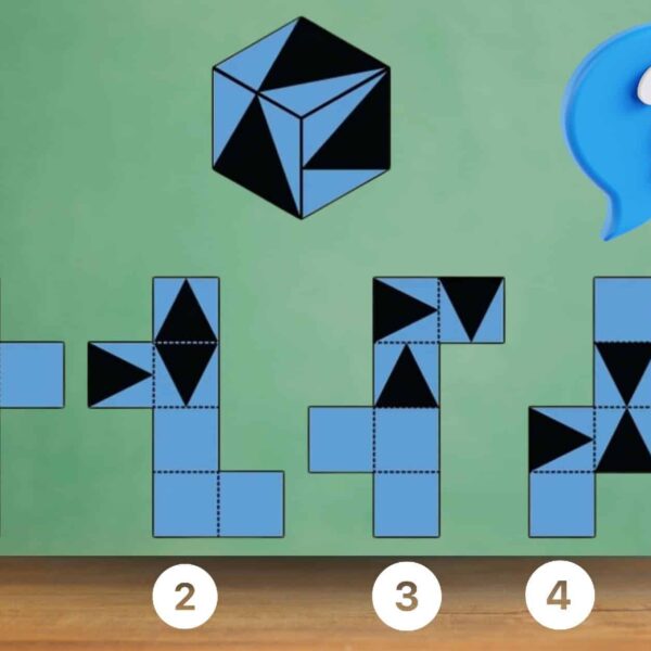 Défi visuel :  Mettez votre sens de l'observation à l'épreuve et relevez le challenge en moins de 9 minutes !