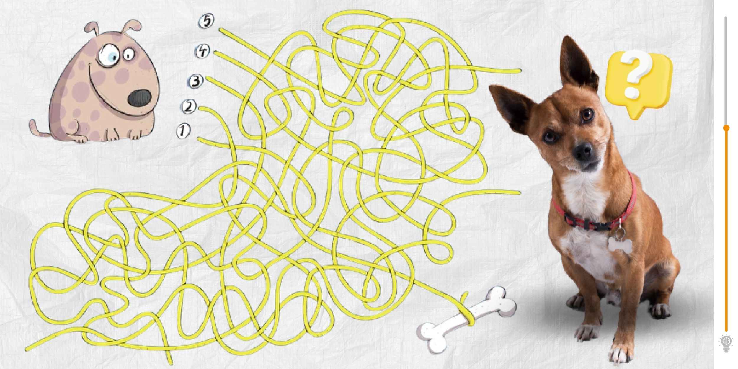 Défi visuel : êtes-vous assez rapide pour guider le chien vers son os en moins de 10 secondes ?