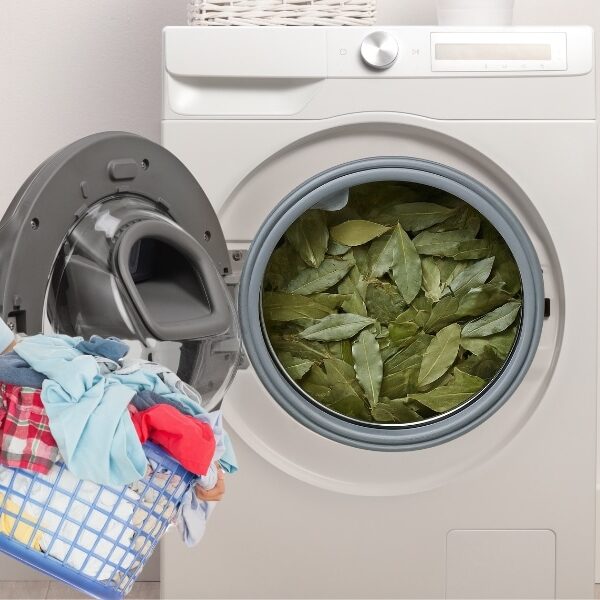 Why include a bay leaf in your washing machine? The natural trick that's winning over more and more people.