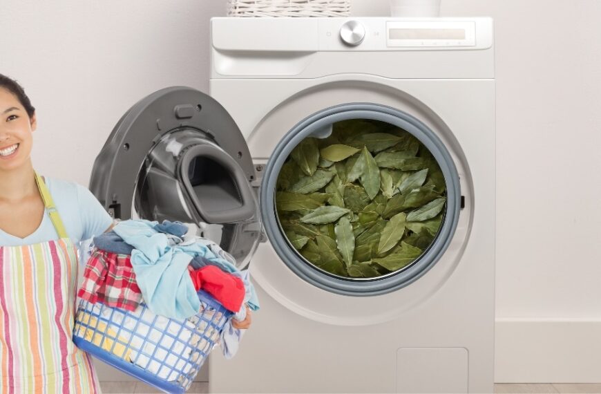 Why include a bay leaf in your washing machine? The natural trick that's winning over more and more people.