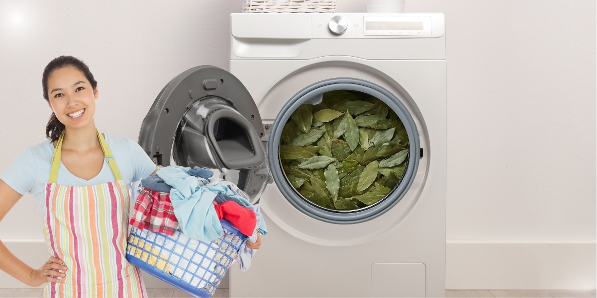 Why include a bay leaf in your washing machine? The natural trick that's winning over more and more people.