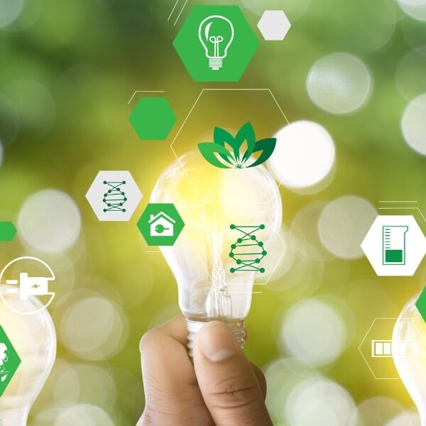 Home ecology: How to reduce your carbon footprint at home