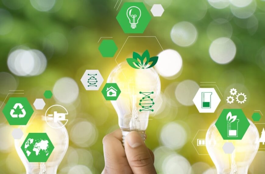 Home ecology: How to reduce your carbon footprint at home