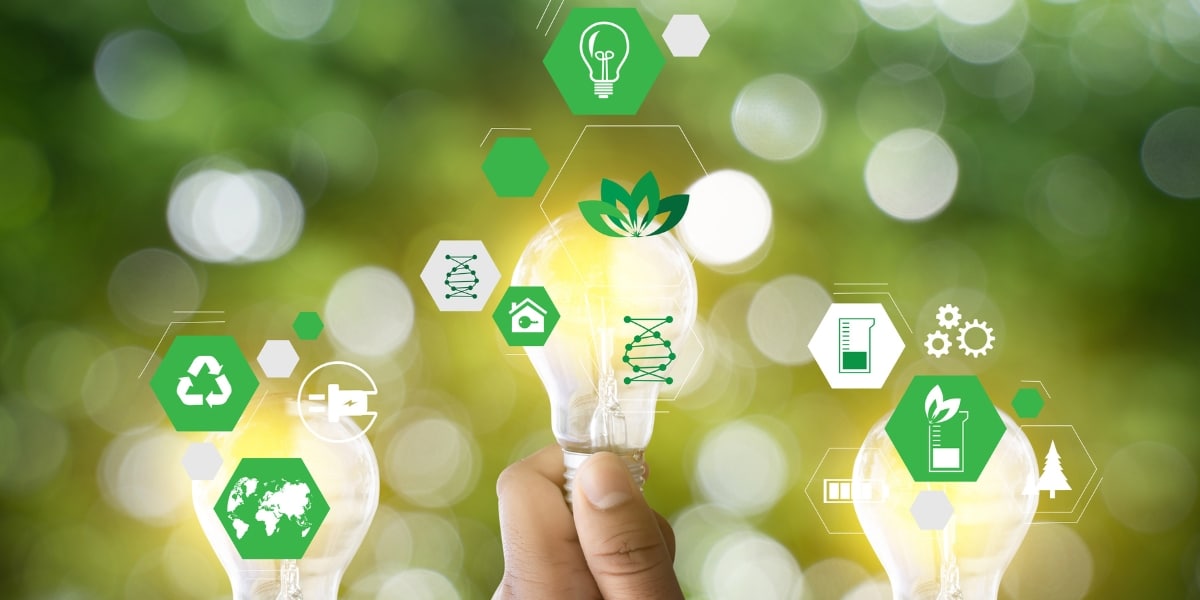 Home ecology: How to reduce your carbon footprint at home