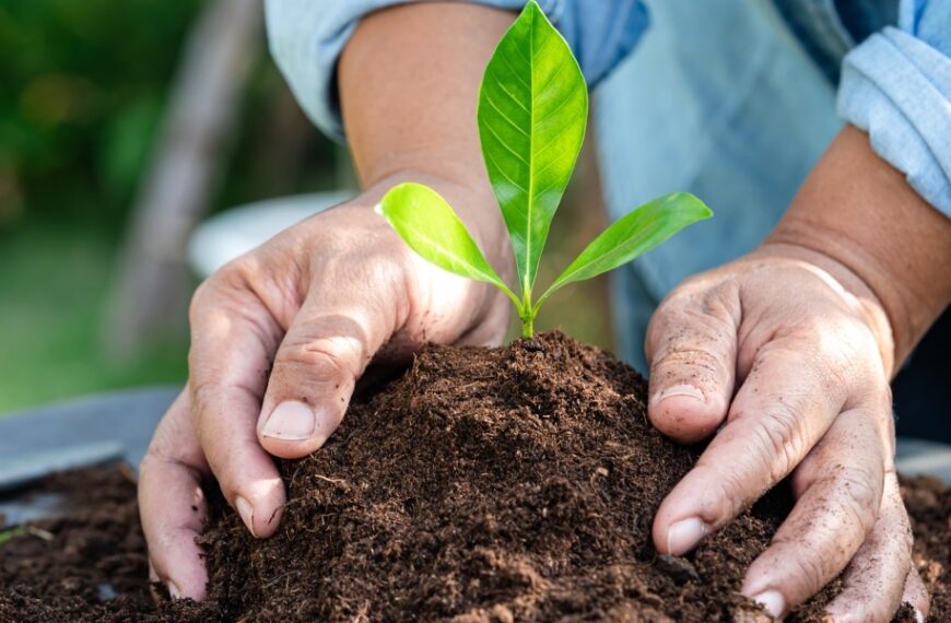 How can you transform your garden into an organic ecosystem with a few simple tricks?