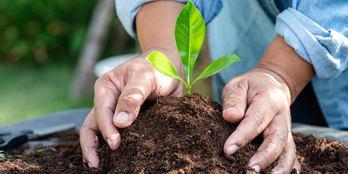 How can you transform your garden into an organic ecosystem with a few simple tricks?