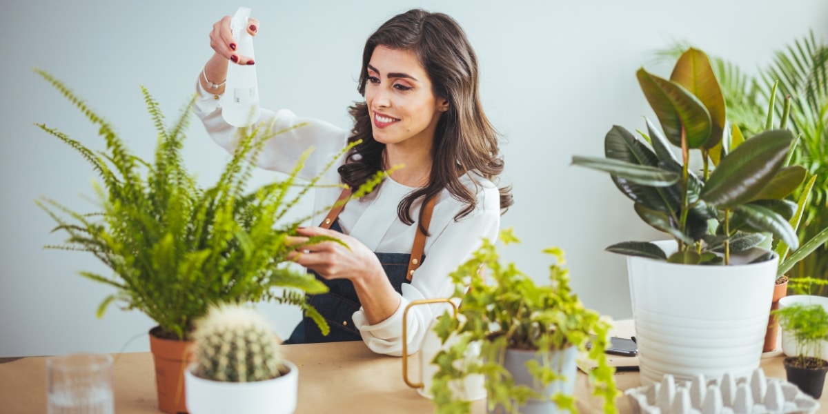 découvrez nos astuces et conseils pratiques pour chouchouter vos plantes d'intérieur et transformer votre espace en un véritable havre de verdure. apprenez à les nourrir, les arroser et les entretenir pour un intérieur sain et accueillant.