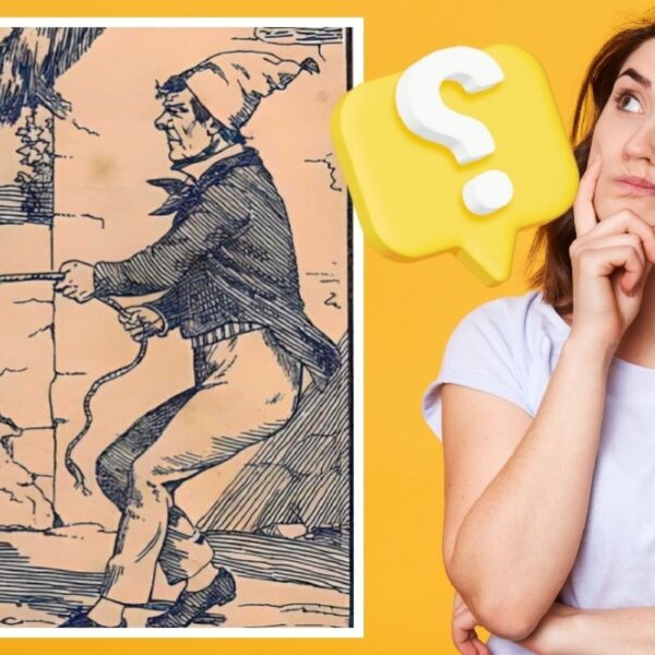 Jeu d'observation : testez votre acuité et trouvez tous les animaux cachés dans cette image fascinante, un véritable challenge à relever en moins de 7 minutes ! Serez-vous à la hauteur ?