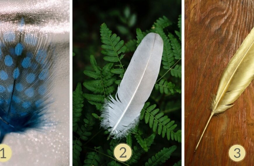 Test de personnalité : Êtes-vous le roi de la fête ou l’âme solitaire ? Sélectionnez l'une des 3 plumes pour dévoiler les secrets de votre nature festive !