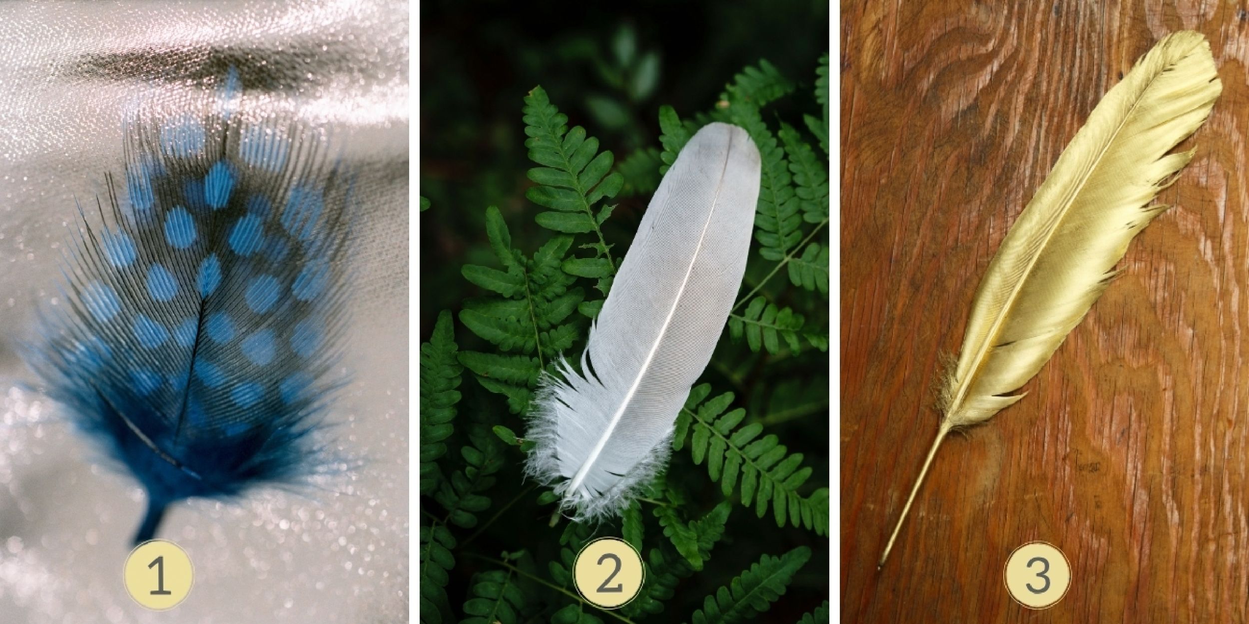 Test de personnalité : Êtes-vous le roi de la fête ou l’âme solitaire ? Sélectionnez l'une des 3 plumes pour dévoiler les secrets de votre nature festive !