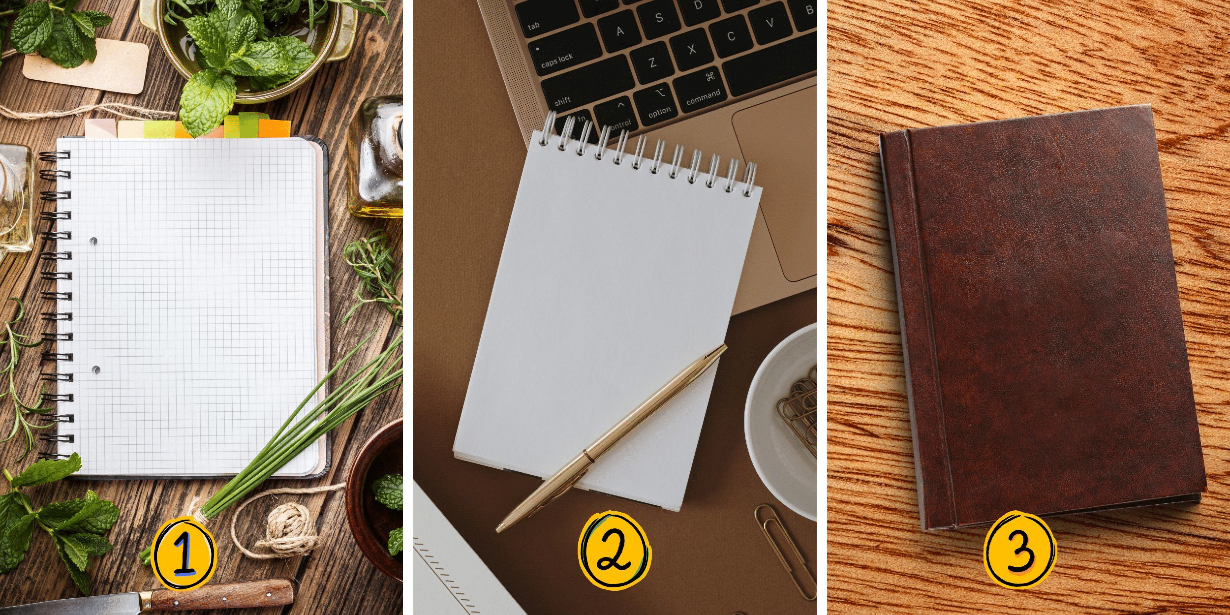 Personality test: Calm or storm? Choose one of the 3 planners and reveal your level of patience on a daily basis!