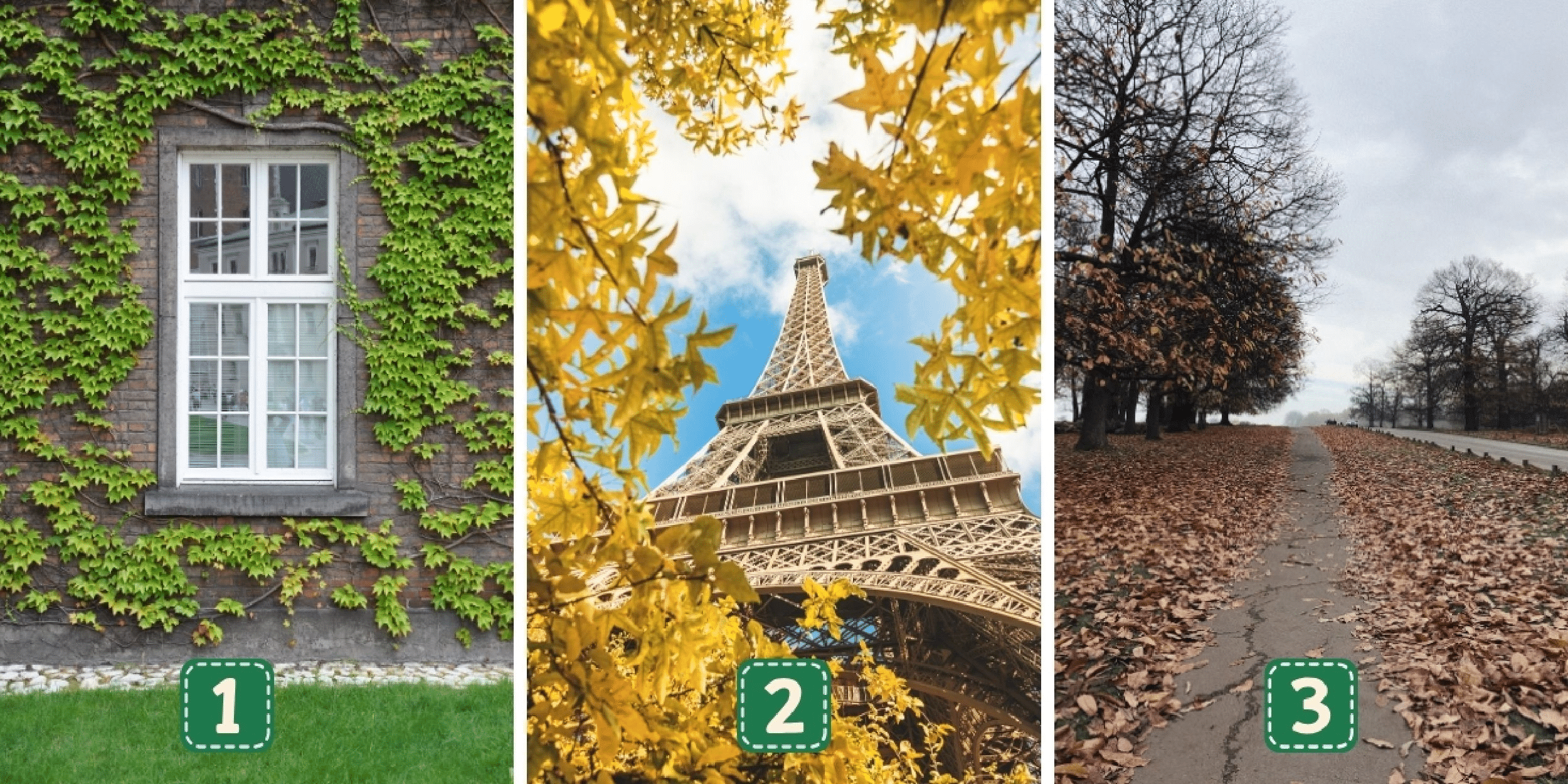 Personality test: Choose an image and reveal the keys to your ultimate resourcefulness!