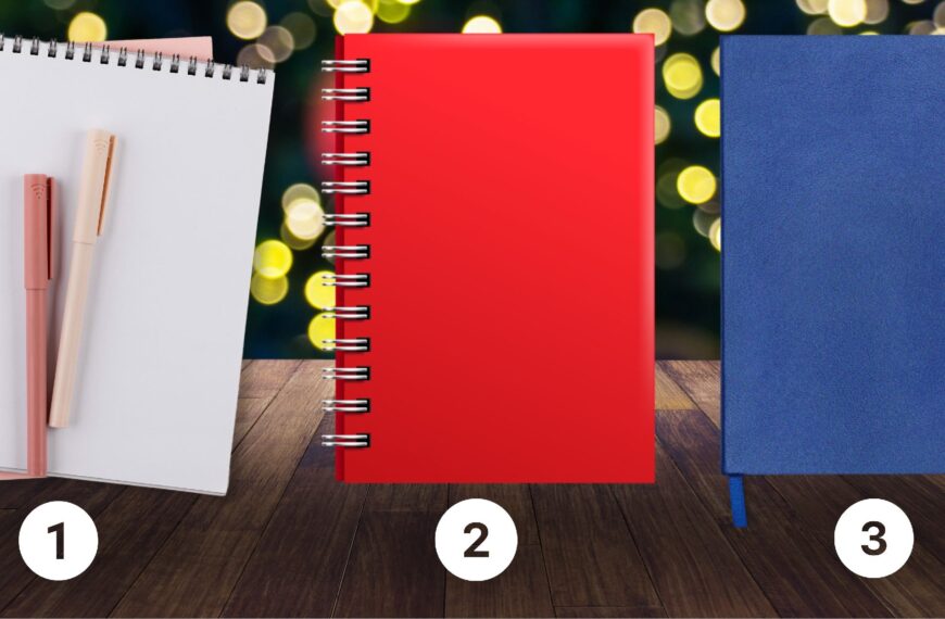 Test de personnalité : Quel carnet vous attire le plus ? Choisissez parmi ces 3 et découvrez si vous êtes un rêveur idéaliste ou un pragmatique réaliste !